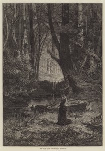 Fairy Glen